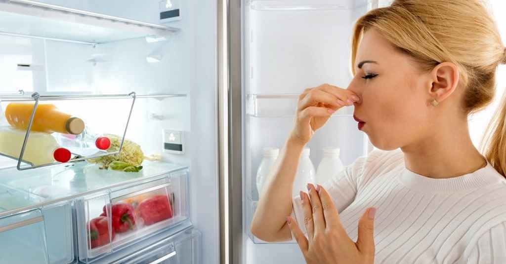 Bỏ Túi Những Cách Khử Mùi Tủ Lạnh Hiệu Quả, Dễ Tìm Tại Nhà